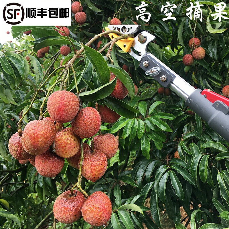 【臺灣公司 可開發票】好伸手摘果神器高枝剪樹枝剪伸縮摘果剪刀高空摘水果採摘器摘荔枝