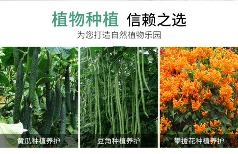 園藝支柱支架套裝豆角架黃瓜架子花支柱配爬藤網菜園蔬菜支架種植 協貿國際日用品生活6館 樂天市場rakuten 園藝支柱支架套裝豆角架黃瓜架子花支柱配爬藤網菜園蔬菜支架種植 協貿國際日用品生活6館 樂天市場rakuten