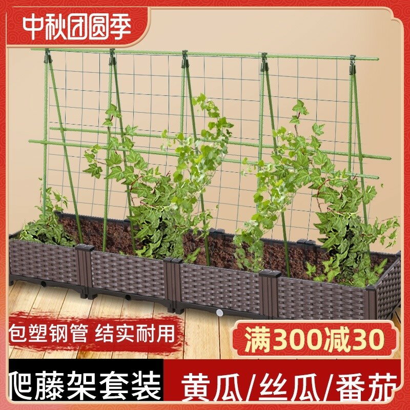 葡萄爬藤架黃瓜支架桿絲瓜西紅柿陽臺種菜戶外植物蔬菜庭院花架子
