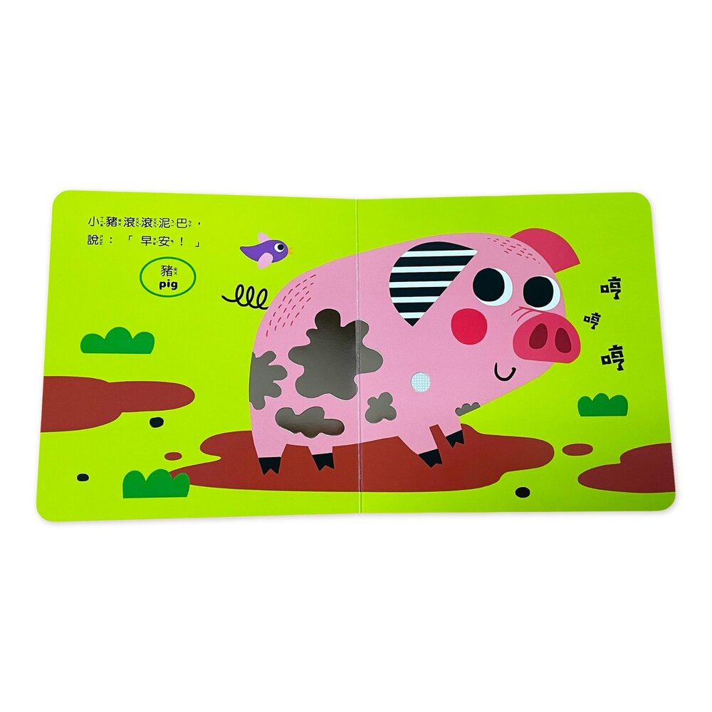 媽媽買 寶貝觸覺聽聽書 京采文教 觸覺書 音效書 聲音書 幼兒繪本 啟蒙書 親子共讀 感官發展 語言學習 早教玩 7