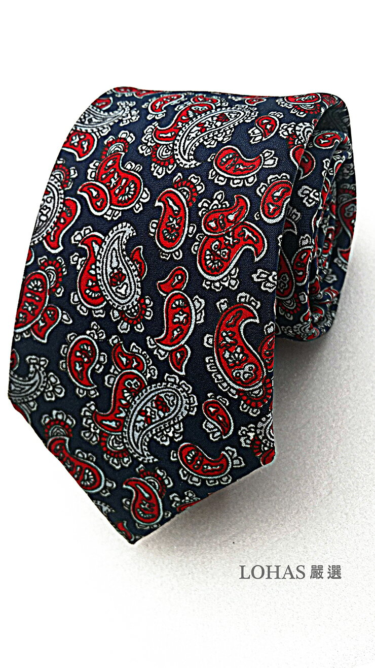領帶_變色蟲深藍底紅白紋時尚手打領帶