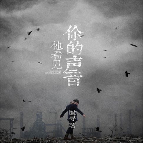 【有聲書】他看见你的声音（合集） 0
