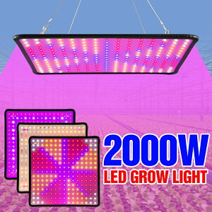 2000W全光譜LED植物燈園藝110V植物補光燈多肉1000W量子板生長燈2000W溫室室內蔬菜花果種植燈1500W
