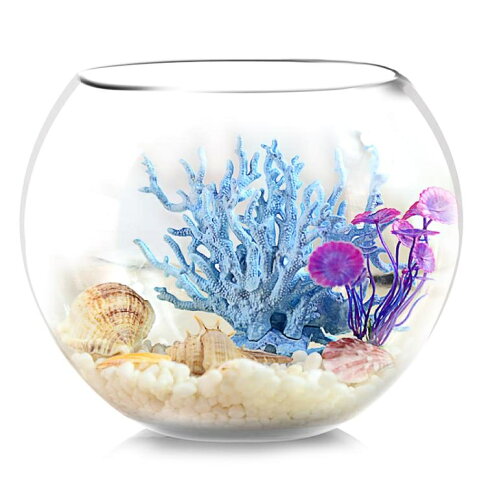 烏龜缸 魚缸生態圓形玻璃金魚缸烏龜缸桌面小型造景水培花瓶圓型小魚缸 1