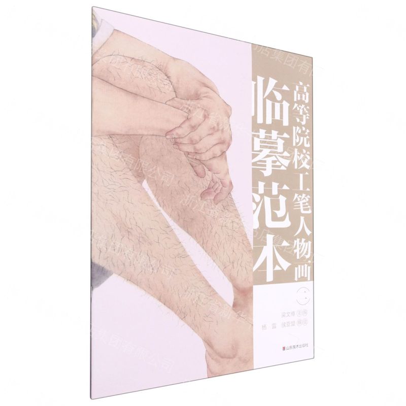 高等院校工筆人物畫臨摹範本(2)丨天龍圖書簡體字專賣店丨9787533086008 (tl2612_山東書展)