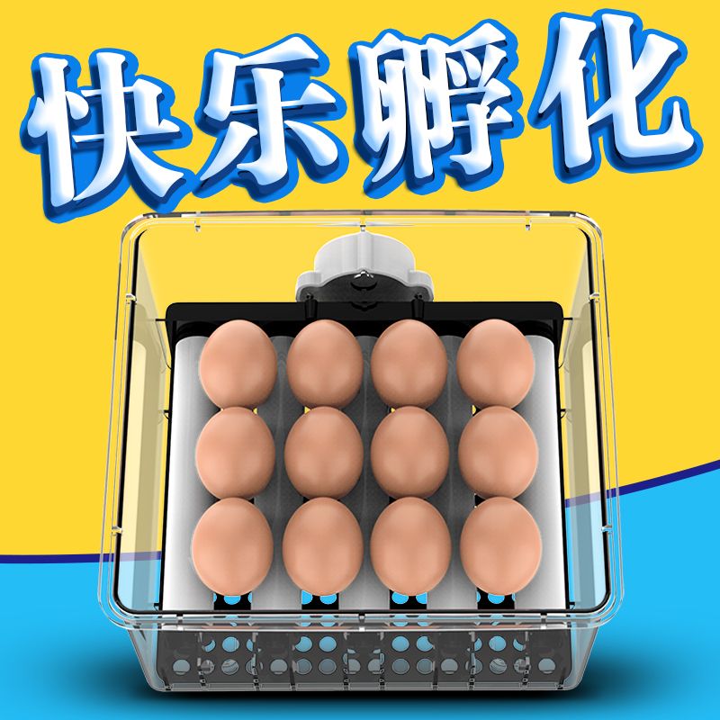 【免運】開發票 美雅閣| 一望水床孵化器家用型孵化機全自動小型雞蛋孵化箱智能小雞孵蛋器