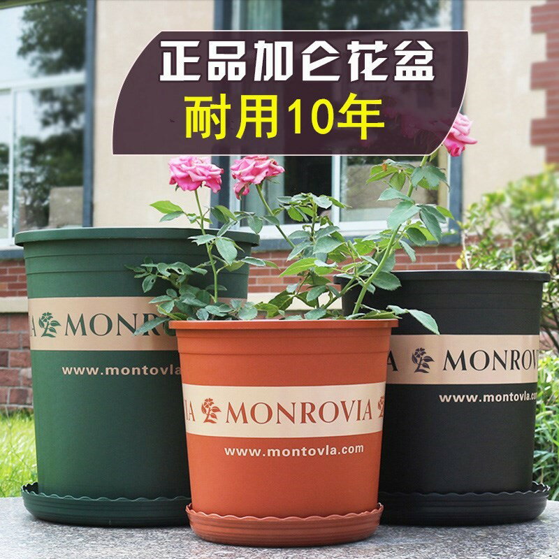加侖盆加厚樹脂塑膠花盆月季多肉綠蘿陽臺種花種菜園藝批發