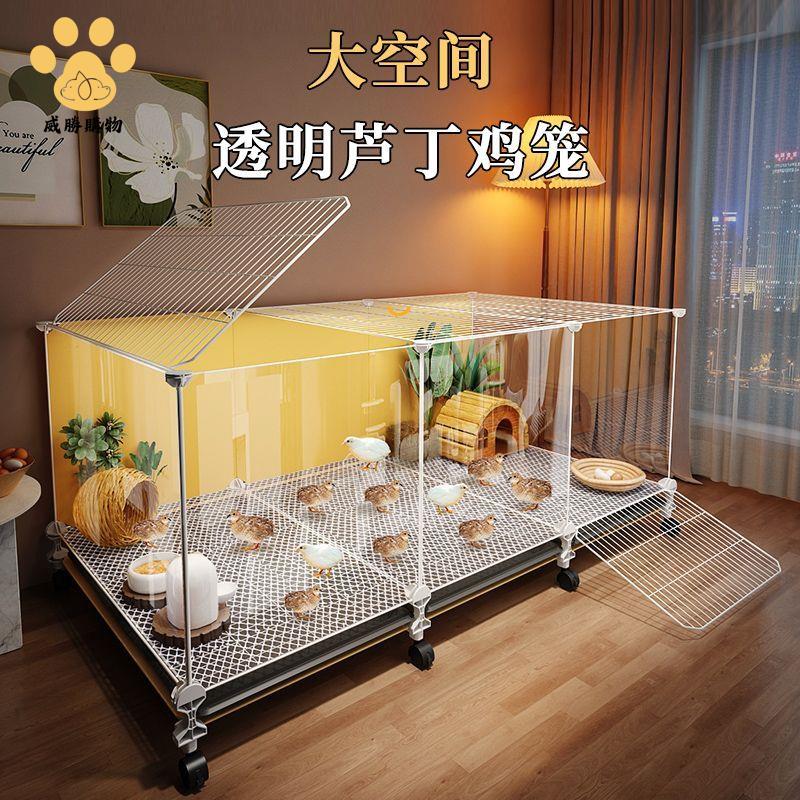 免運開發票 雞籠 養殖籠 兔籠 全景透明加密蘆丁雞小雞籠家用室內養殖專用易清理寵物雞舍飼養箱 八折下殺ly14
