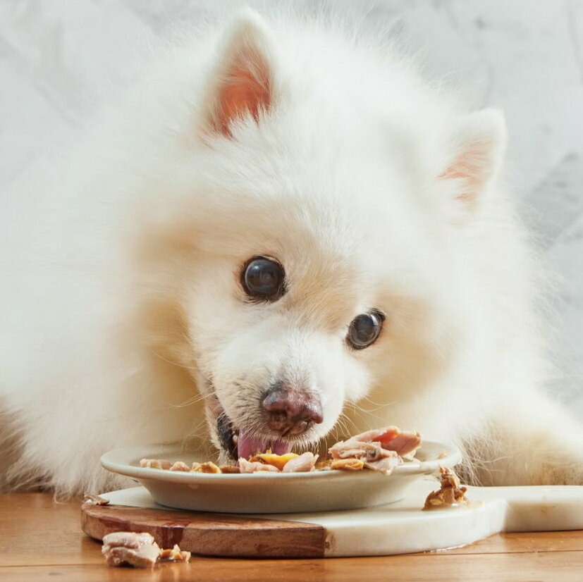【毛孩膳坊】頂級寵物鮮食--雞肉鮭魚餐包-5盒入(開封即食/常溫保存/貓狗鮮食) 3