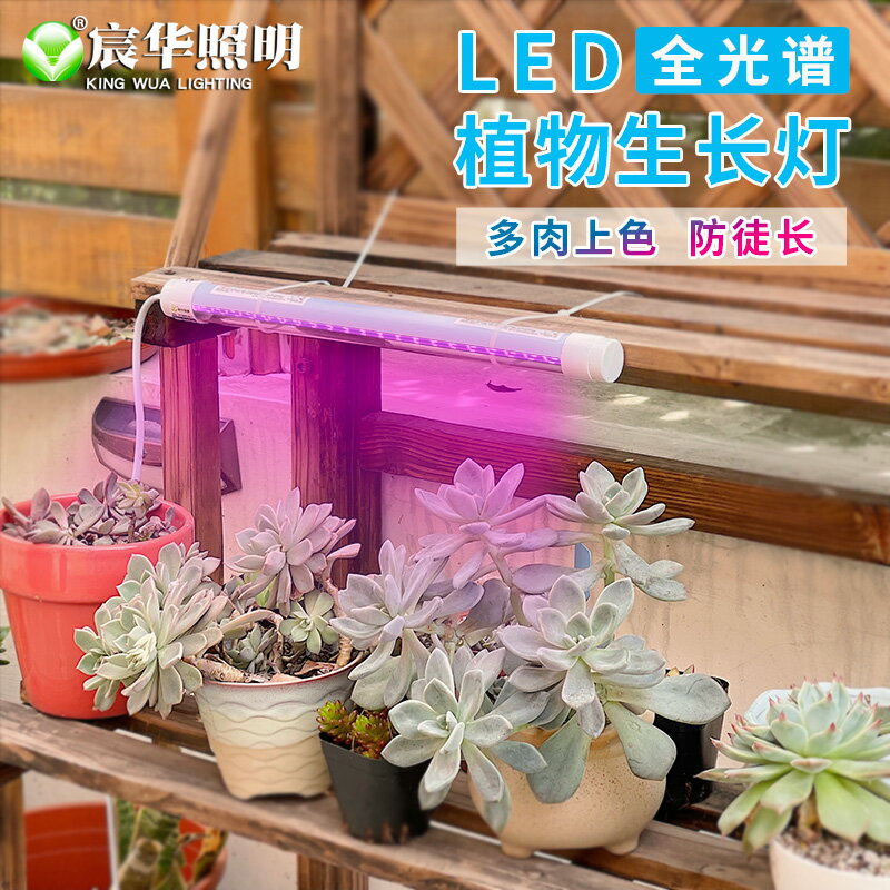 植物燈植物燈泡宸華多肉補光燈上色全光譜led植物生長室內種菜育苗仿太陽花卉燈 My3595 買買生活 樂天市場rakuten