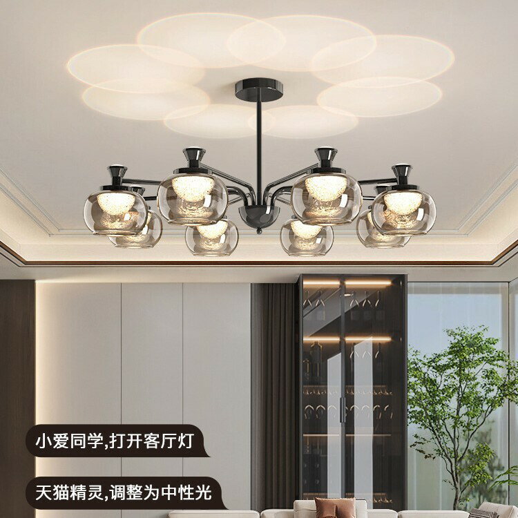 輕奢大廳燈具感2025新款現代簡約意式極簡客廳吊燈全屋主燈其他無 幸福驛站