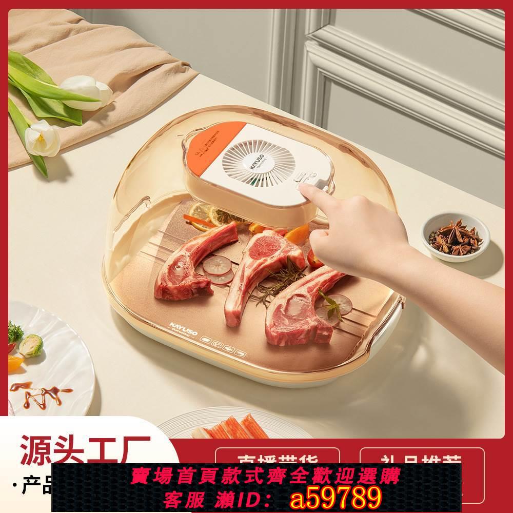 【臺灣公司 可打統編】KAYUSO廚房家用食品解凍盤牛排快速解凍器便攜解凍板（源頭廠家）