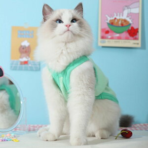 【優選百貨】小貓咪衣服寵物幼貓防掉毛英短布偶可愛貓貓無袖背心