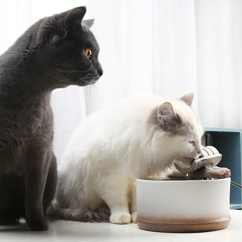 貓咪飲水機陶瓷寵物狗狗喝水喂水神器自動循環貓用流動飲水盆水碗