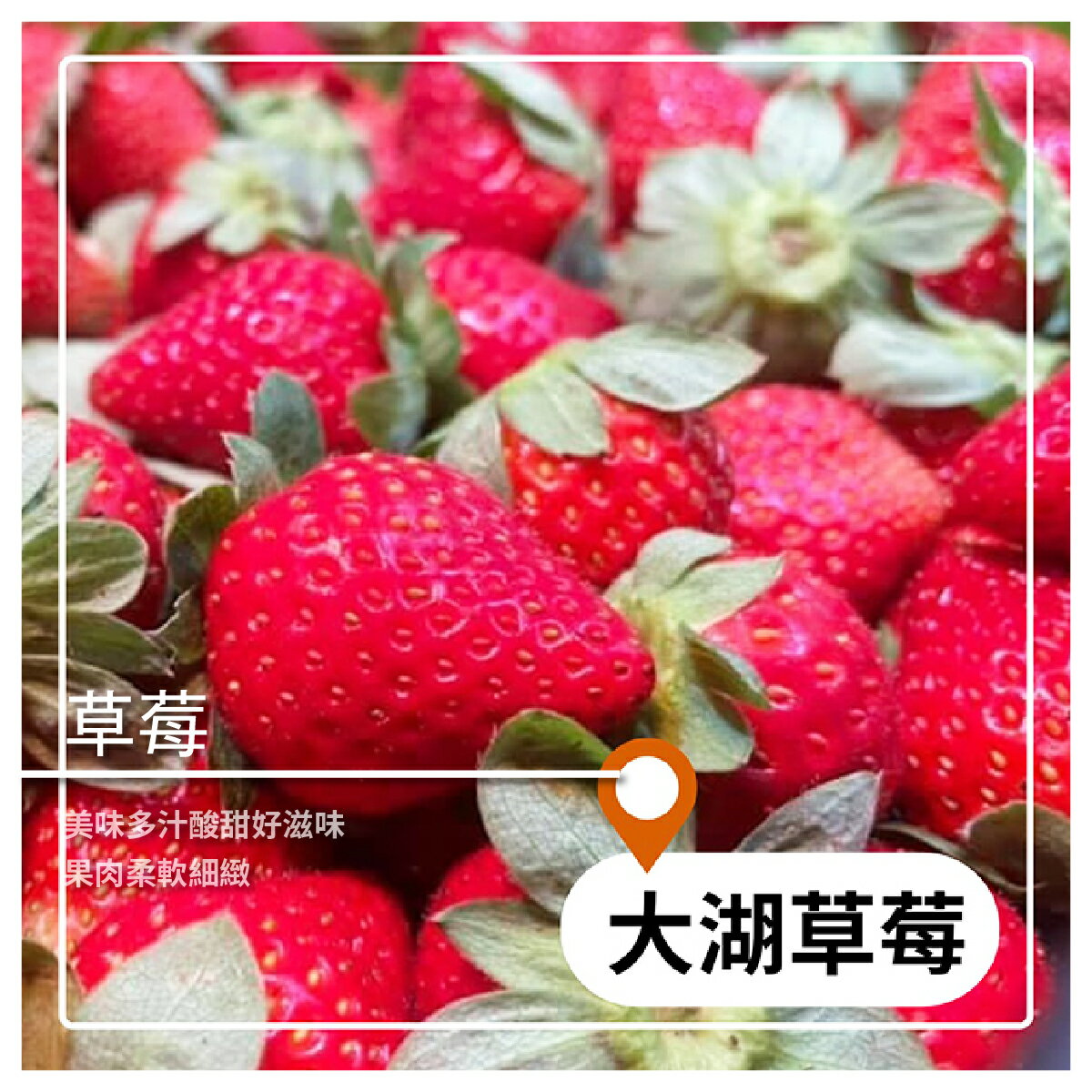 上憬青果行 大湖草莓2號2 5台斤 渼物市集 Rakuten樂天市場