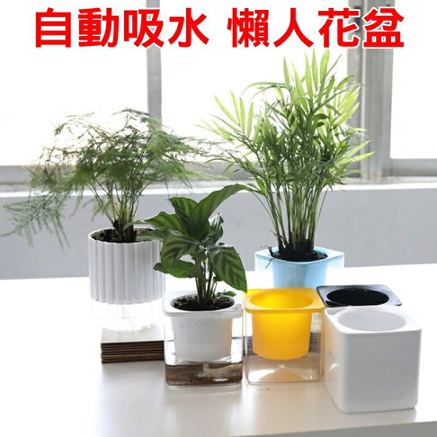 珍愛頌 N138 魔方懶人花盆透明花盆自動吸水自動澆水多肉花盆水培創意花盆適合桌面書桌辦公桌室內 珍愛頌生活館直營店 珍愛頌 N138 魔方懶人花盆透明花盆自動吸水自動澆水多肉花盆水培創意花盆適合桌面書桌辦公桌室內 珍愛頌生活館直營店