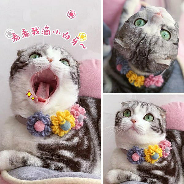 『台灣x現貨秒出』立體毛線三朵花花造型貓狗飾品領巾寵物項圈頸圈