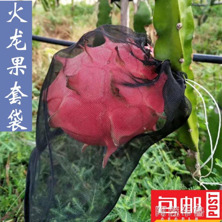 防鳥網 水果防鳥防果蠅防蟲網袋黑色火龍果專用套袋套果袋規格齊全 快速出貨