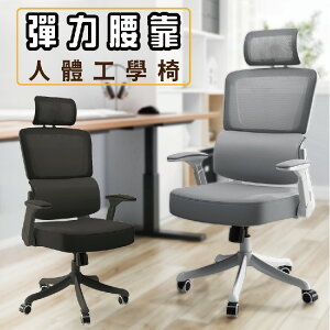 【IS空間美學】Model-X人體工學網椅/電腦椅/辦公椅(2色可選)