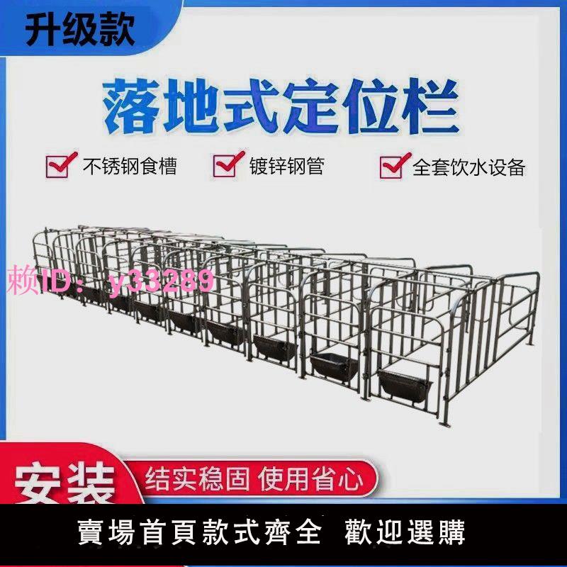 母豬定位欄豬用限位欄落地式養豬欄位五位全套豬欄定位養豬裝置