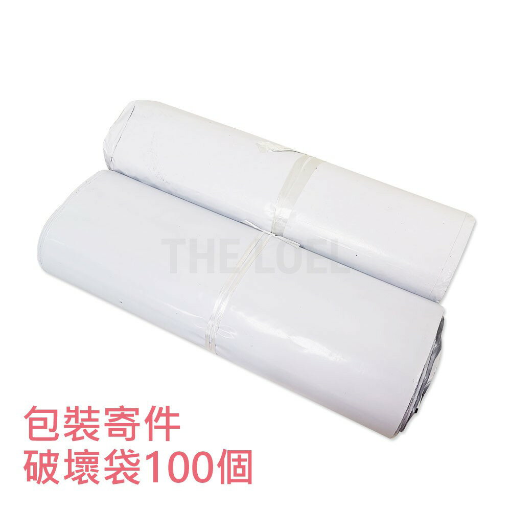 台灣快速出貨 現貨 100入 白色破壞袋 不透光PE快遞袋網拍包裝袋