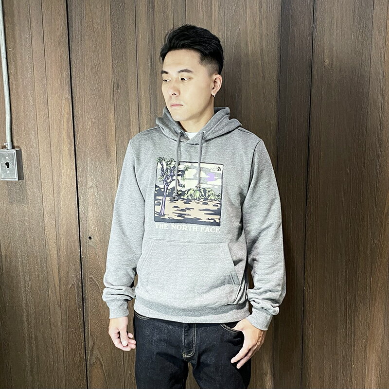 美國百分百【全新真品】The North Face 北臉 連帽上衣 棉質 內刷毛 TNF 帽T logo 灰色 DE47