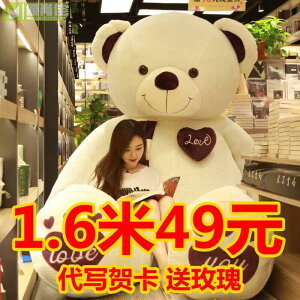 超多款式 泰迪熊公仔毛絨玩具熊貓可愛生日禮物玩偶女生床上睡覺抱枕布娃娃