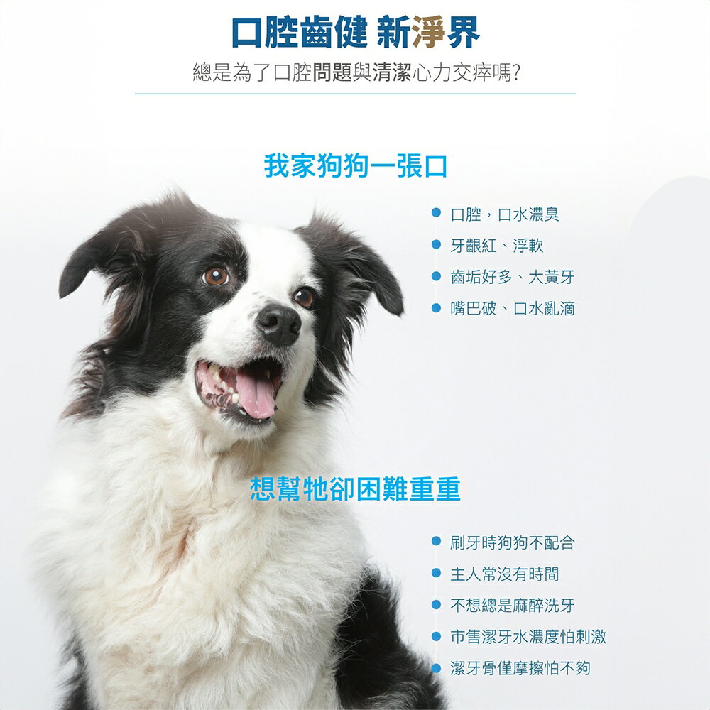 ＵＴＯ｜ 木入森 犬寶固齒麗 專業獸醫推薦 1