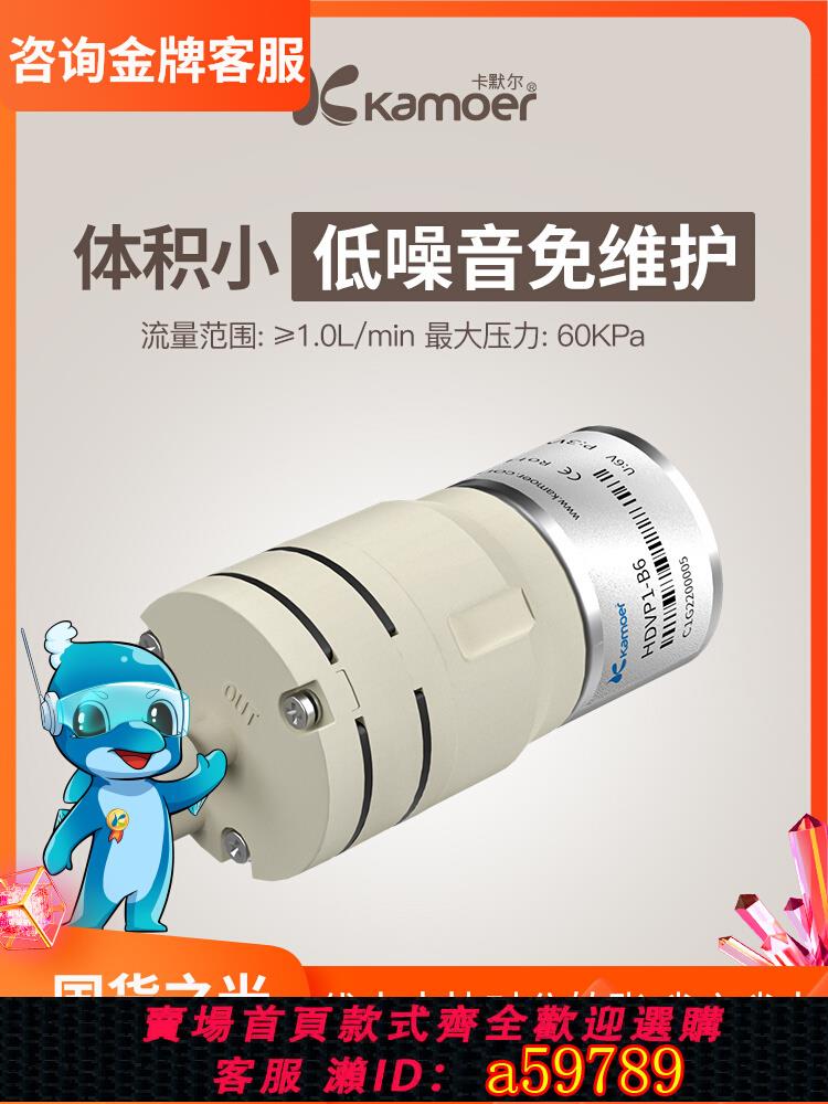 【臺灣公司 可打統編】卡默爾微型真空泵調速負壓電機壓縮機負壓泵迷你抽氣泵小型隔膜泵
