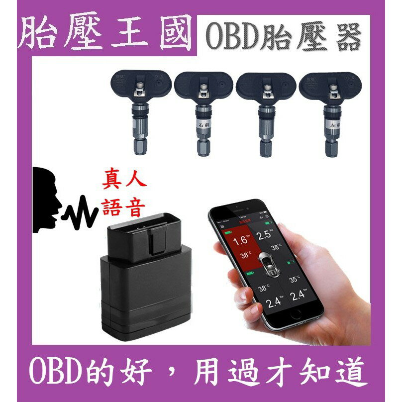 OBD藍芽胎壓偵測器TPMS(胎內)(品牌保證)(手機顯示)(一年保固)_T50內 [217]