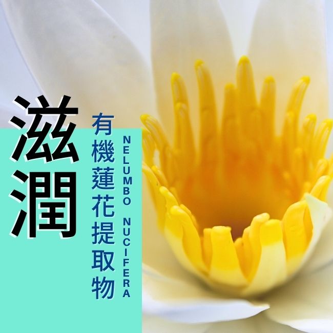 美生藥局｜【Rivadouce聖泉薇】蜂蠟蓮花皮脂修復冷霜 100ml 3