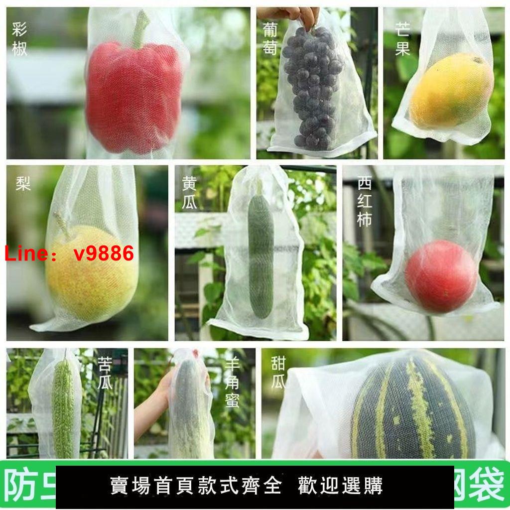【臺灣公司 超低價】尼龍網袋防蟲防鳥種子袋浸種袋火龍果袋葡萄水果套袋果樹防蟲網袋