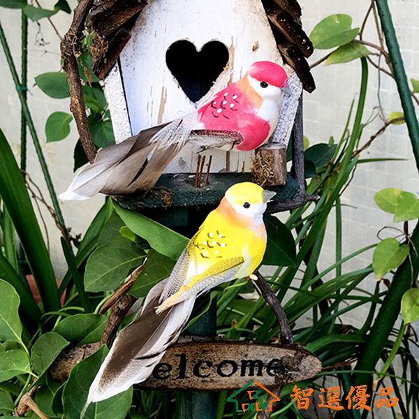 模擬鳥 模擬小鳥模型花園庭院創意佈景幼兒園裝飾品擺件羽毛泡沫彩色假鳥 快速出貨