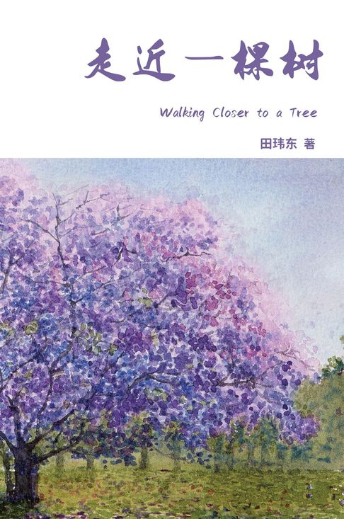 Walking Closer to a Tree【電子書】