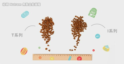 Nutram 紐頓 均衡健康系列 S1 幼貓糧【 雞肉+鮭魚】 1.13kg 無穀貓糧 WDJ推薦 挑嘴貓糧 貓糧 4