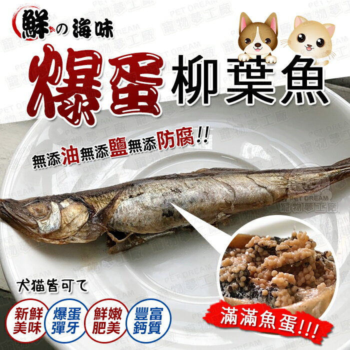 ★限時下殺★鮮の海味-爆蛋柳葉魚 柳葉魚 爆蛋柳葉魚 豐富鈣質 貓零食 貓獎勵 新鮮魚 貓魚肉 爆蛋