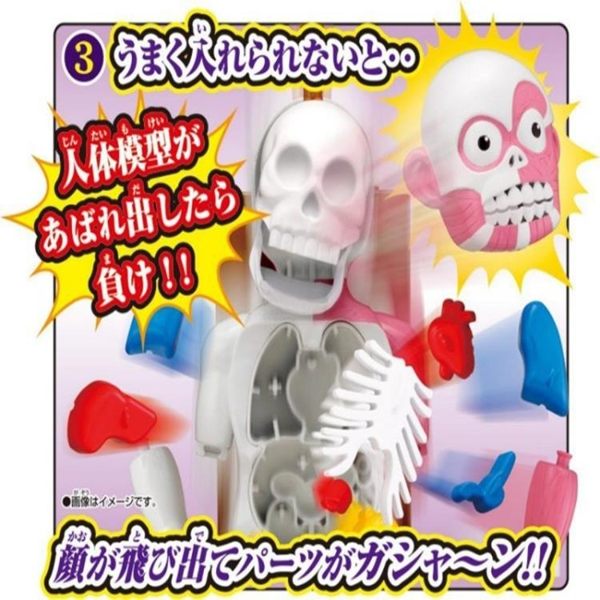 人體模型器官 放學後的怪談系列 日本怪談 人體模型 驚悚 器官組裝遊戲 桌遊【塔克】