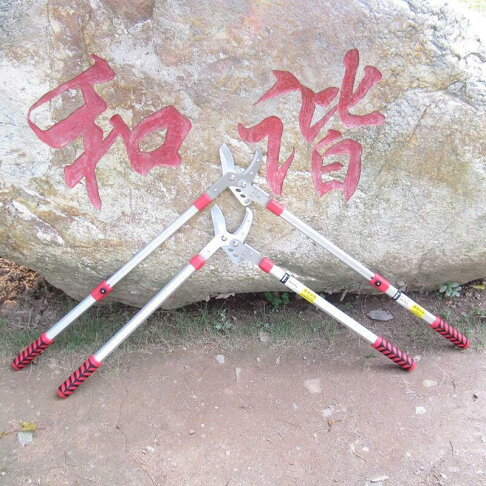 【可開發票】剪刀 高枝剪 修枝剪 園藝剪刀 高枝鋸 修枝鋸 修樹粗枝剪刀修枝剪枝伸縮大力剪刀片修剪樹枝剪園藝園林剪枝 | 挪威的森林 | 樂天 ...