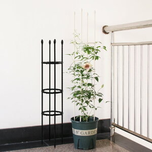 植物花卉爬藤架攀爬桿鐵線蓮柱形固定月季花架自由組合陽臺支撐架
