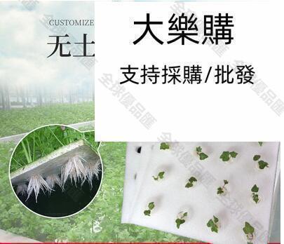 【全球優品匯】魚塘漂浮板水上種菜 水培蔬菜定植板 無土栽培裝置水耕種植板KLP
