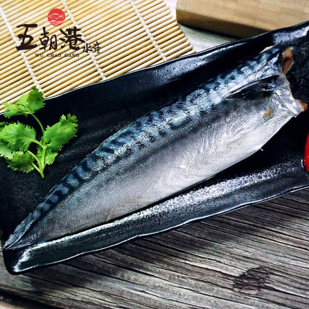 【8片優惠免運組】挪威薄鹽鯖魚 (520克±10%/4片/包) 海鮮 生鮮 挪威 薄鹽 鯖魚 必烤 熱銷 快速到貨 限時 限量 搶購 免運 6