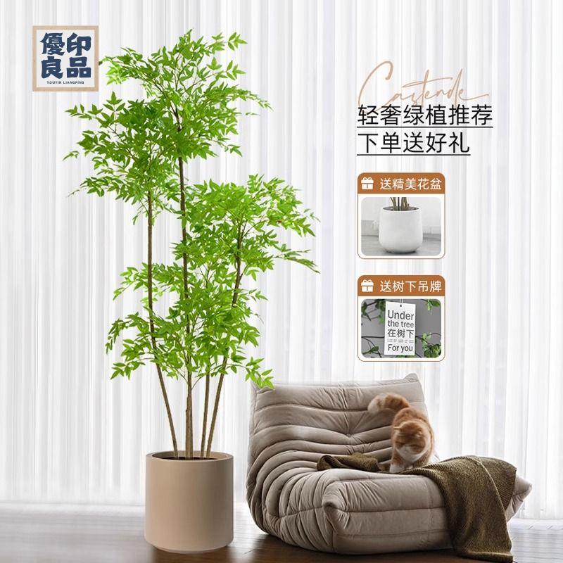 免運 工廠現貨 模擬樹 模擬綠植 仿真植物 裝飾假樹 南天竹模擬綠植客廳輕奢盆栽室內大型造景植物裝飾落地擺件假花樹免運 工廠現貨 模擬樹 模擬綠植 仿真植物 裝飾假樹免運/可開發票 工廠直銷 特價出 y5418