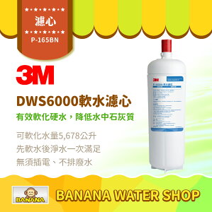 【3M】P-165BN 軟水濾心 DWS6000-ST淨水系統 第一道濾芯【零利率】