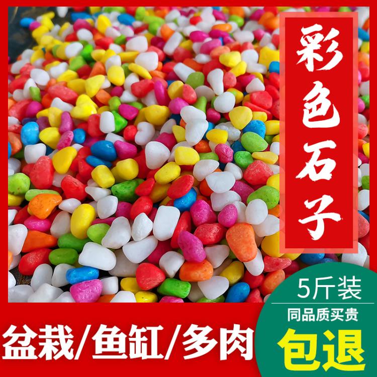 中秋免運~五彩小石頭七彩色盆栽裝飾多肉鋪面石植物魚缸造景子小石子鵝卵石 雙11全館免運