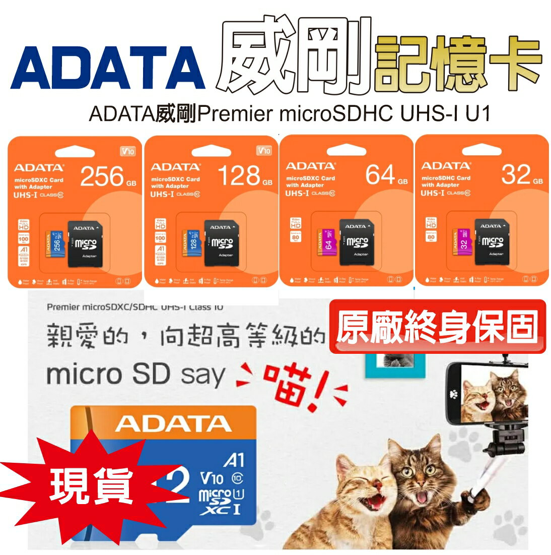 『現貨』 ADATA 威剛記憶卡 16G/32G/64G 記憶卡(附轉卡) CLASS10