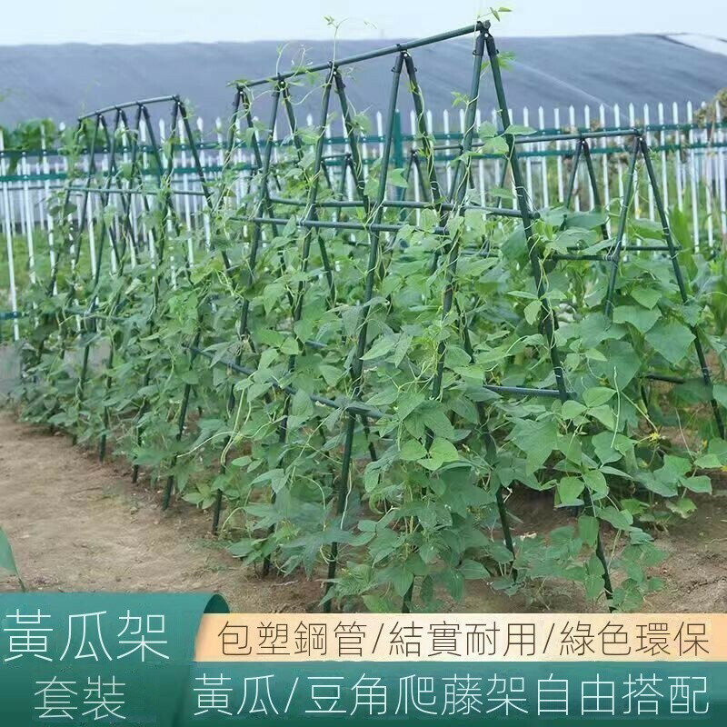 豆角黃瓜架爬藤種菜專用架子清倉包塑鋼管園藝支架植物爬藤架