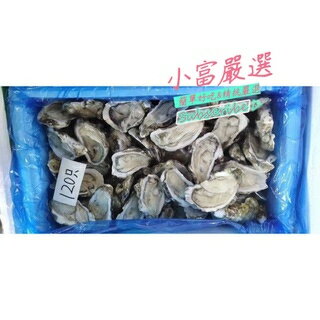 小富嚴選海鮮類貝殼項-半顆生蠔08-14CM皆有販售一件 方便營養攝取 鮮甜脆嫩 肉質飽滿