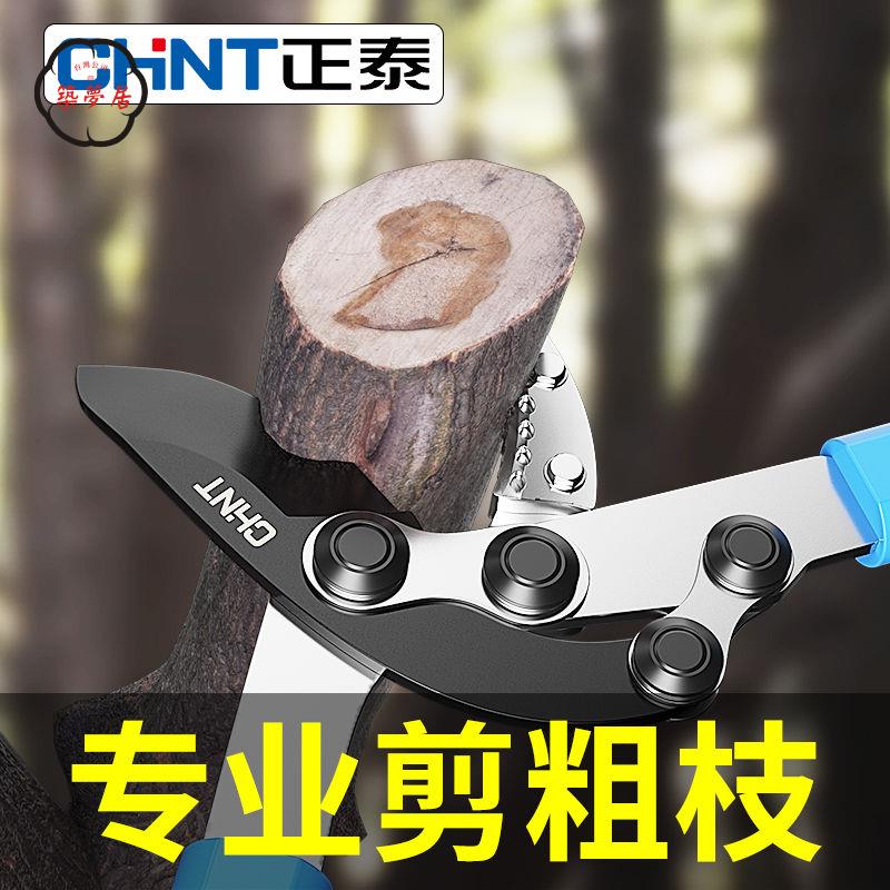 工廠直銷 特惠/免運 果樹剪 園林修剪刀 剪果神器 正泰剪枝剪刀果樹修枝專用樹枝剪園林修剪神器強力修大力粗枝大枝特惠/全館折扣 售後保障 免運 店長推薦m5422