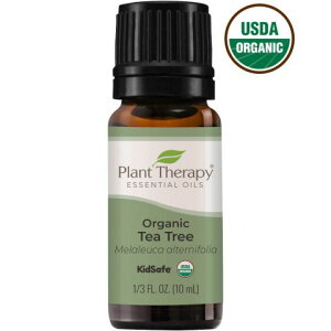 有機茶樹精油 Tea Tree Organic Essential Oil 10 mL ｜美國 Plant Therapy 精油