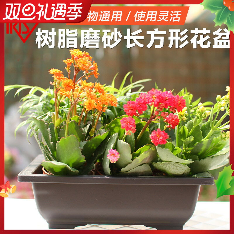 愛麗思園藝黑色長方形花盆花托樹脂磨砂花盆花卉綠植多肉育苗盆